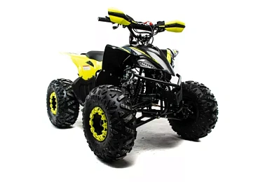 Квадроцикл MOTOLAND (МОТОЛЕНД) 125 RAPTOR A